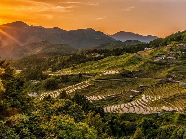 Longji Rice Terraces - China Honeymoon Destinations