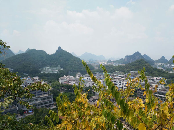 Solitary Beauty Peak