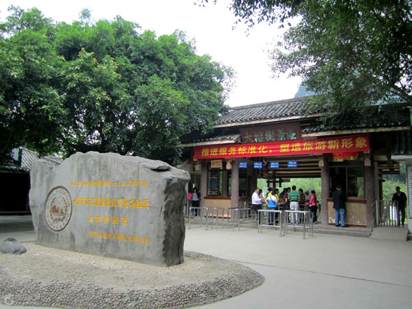 Yangshuo Big Banyan Tree