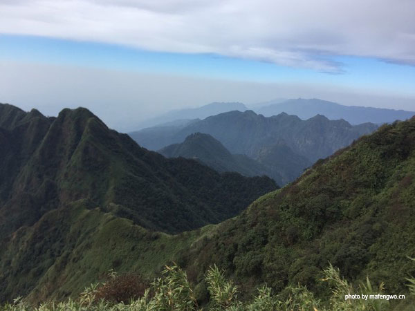 Daming Mountain National Nature Reserve