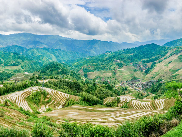 jinkeng-rice-terraces