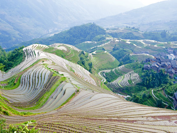 /pic/city/guilin/attractions/jinkeng-rice-terraces-08.jpg