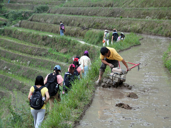 Longsheng Longji Rice Terraces