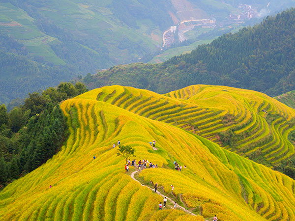 Longji Terraces