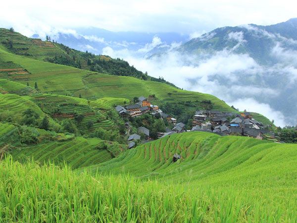 Pingan Zhuang Village
