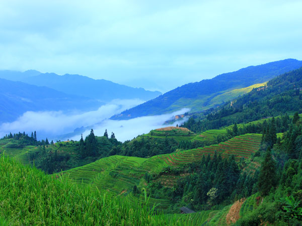 Pingan Zhuang Village