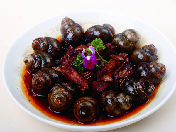 Guilin Field Snail
