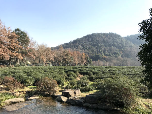 China National Tea Museum