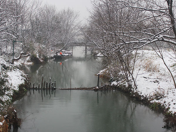 Xixi National Wetland Park