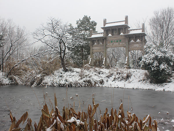 Xixi National Wetland Park