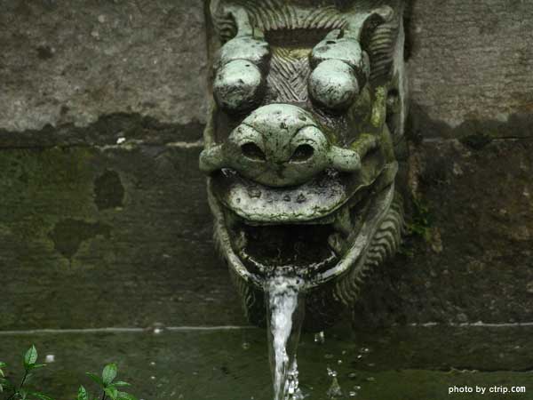 Tiger Spring