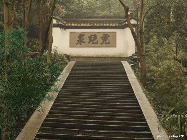 Tiger Spring