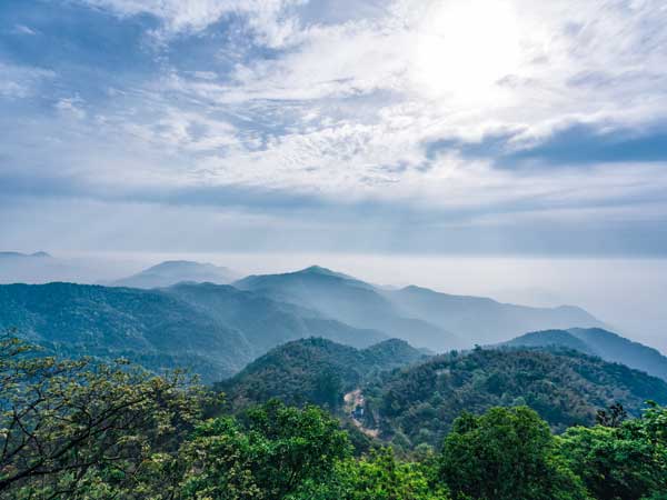 Mogan Mountain Scenic Area