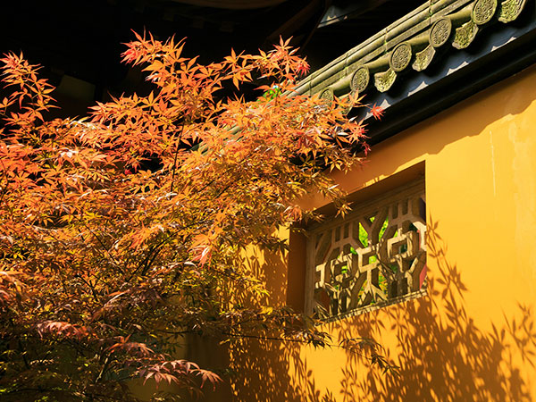 Lingyin Temple