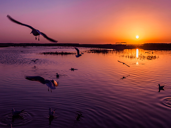 /pic/city/hohhot/attractions/juyan-sea-03.jpg