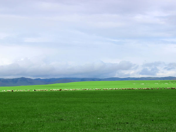 Xilingol Grassland