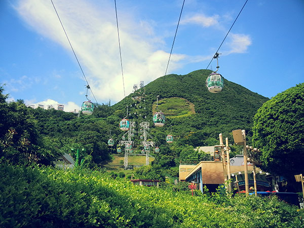 Top 10 Theme Parks in China to Go with Kids -  Hong Kong Ocean Park