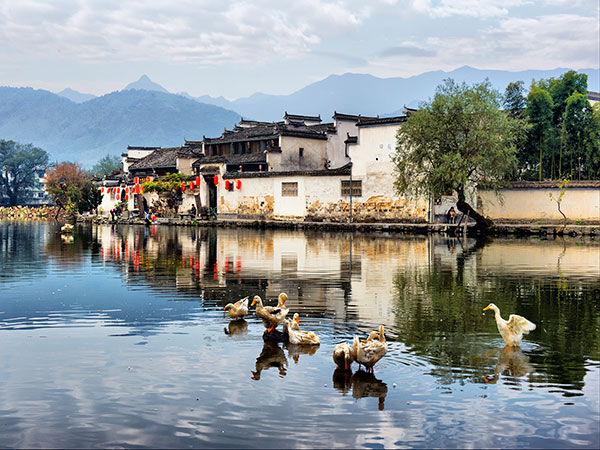 /pic/city/huangshan/attractions/wuyuan-village-05.jpg
