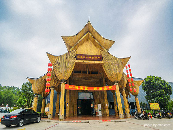 Jiangmen Chenpi Village