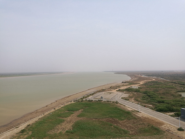 Yellow River Delta Wetland