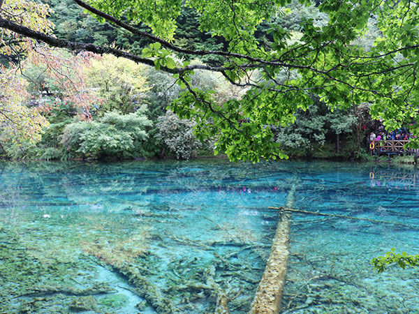Jiuzhaigou Valley