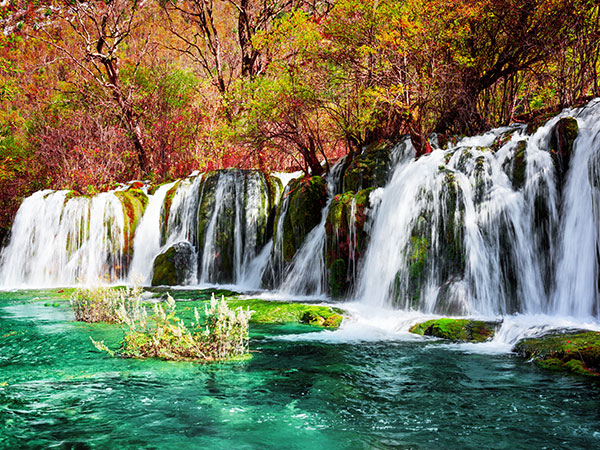 /pic/city/jiuzhaigou/attractions/arrow-bamboo-lake-in-jiuzhaigou-valley-01.jpg