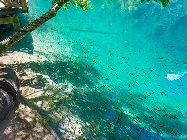 Jiuzhai Valley