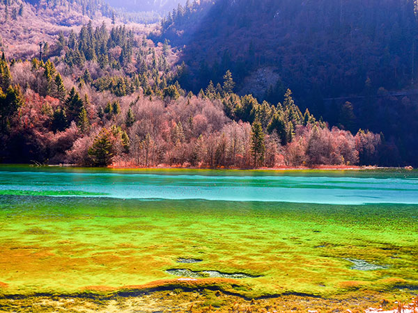 /pic/city/jiuzhaigou/attractions/five-flowers-sea-in-jiuzhaigou-valley-01.jpg