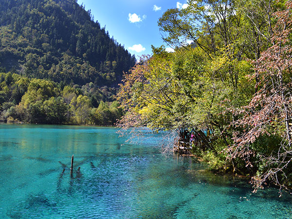 /pic/city/jiuzhaigou/attractions/five-flowers-sea-in-jiuzhaigou-valley-03.jpg