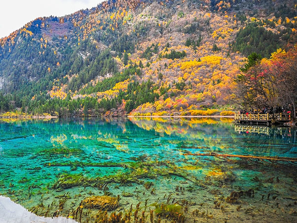 Mirror Lake