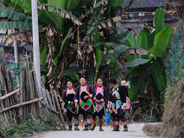 Datang Miao Village