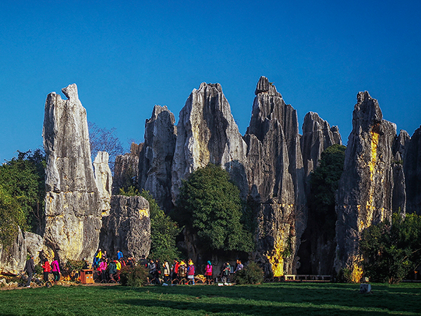 /pic/city/kunming/attractions/Stone-Forest-15.jpg