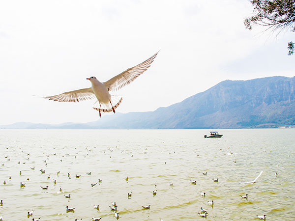 Dianchi Lake