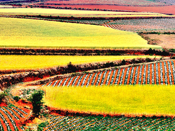 Dongchuan Red Soil