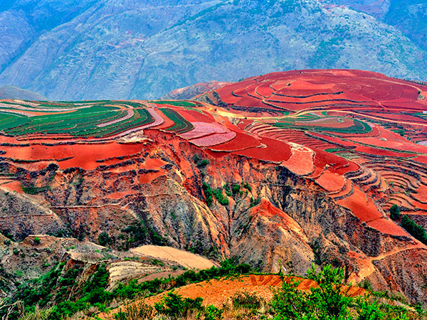 Dongchuan Red Land