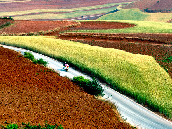 Travel to China