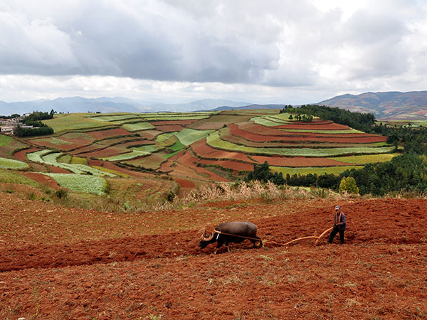 Dongchuan Red Soil