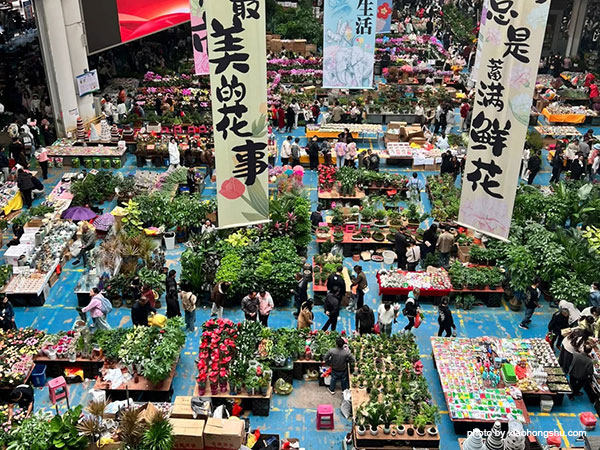 Kunming Dounan Flower Market