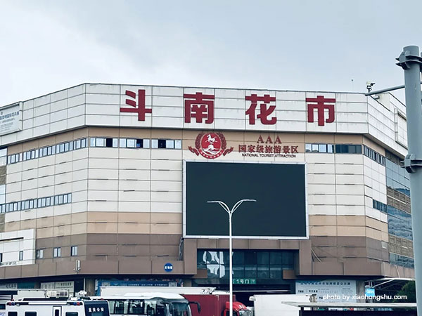 Kunming Dounan Flower Market