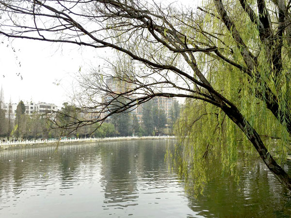 Green Lake Park