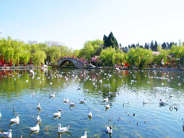 /pic/city/kunming/attractions/green-lake-park-07.jpg