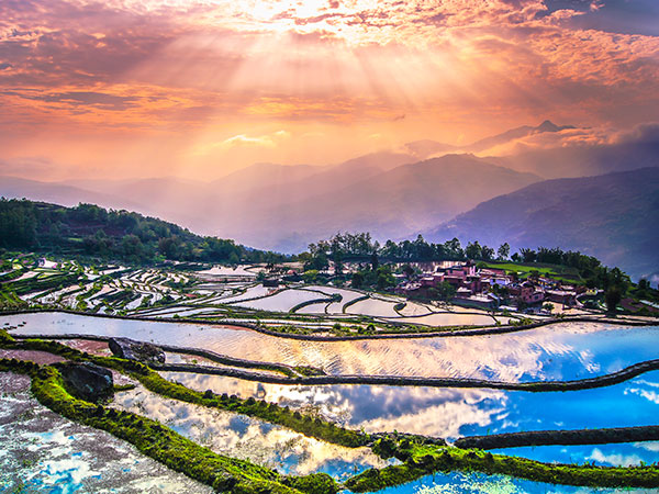 Yuanyang Rice Terraces