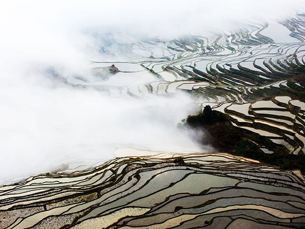Yuanyang