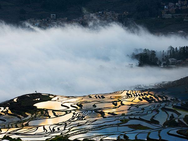Yuanyang