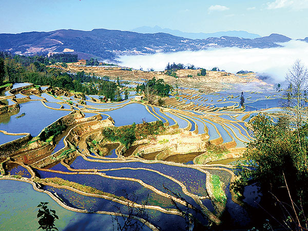/pic/city/kunming/attractions/yuanyang-11.jpg