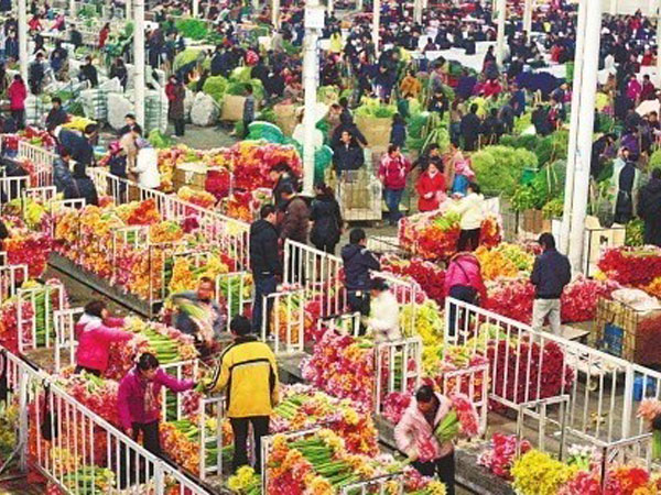 Famous Flower Markets in Kunming