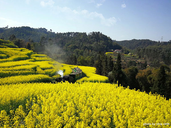 Jiayang Steam Train