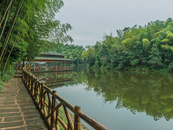Shunan Bamboo Forest