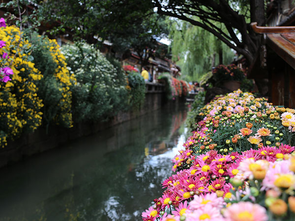 Lijiang Old Town