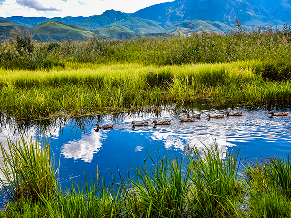 how to plan a trip to Lugu Lake from Lijiang